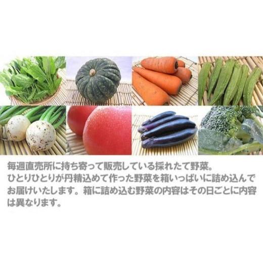 ふるさと納税 宮城県 岩沼市 採れたて野菜を箱いっぱい詰め込んで♪岩沼みんなの家の「みんなの直売！野菜」セット詰め合わせ [No.5704-0326]｜furusatochoice｜09