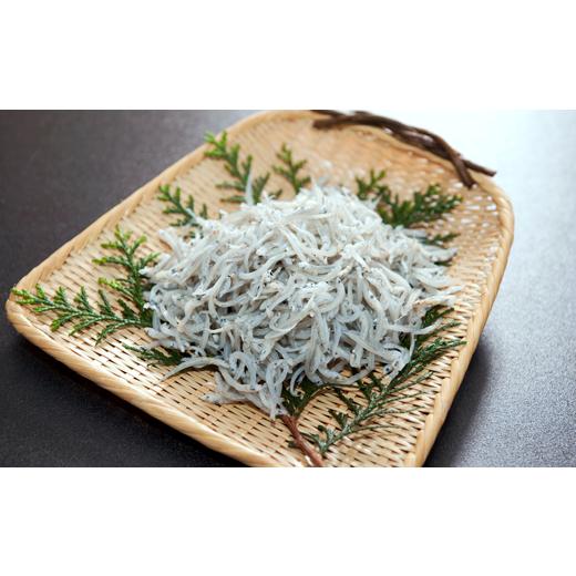 ふるさと納税 魚貝類 ちりめん 高知県 宿毛市 ちりめん じゃこ 1kg 惣菜 ごはん おかず イワシ 稚魚 干物 海鮮 おつまみ 保存食 レシピ 栄養 タンパク質 カル…