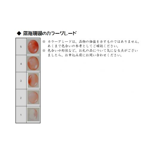 正規品 ふるさと納税 高知県 宿毛市 海の秘宝珊瑚：ネックレスS 【YW1771726068】(62400円)