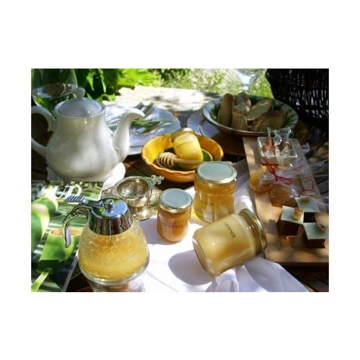 ふるさと納税 東京都 八王子市 【6か月定期便】あのはちみつ専門店ラベイユの「東京 百花蜜」（500g）を毎月お届け ふるさと納税 和歌山県 紀の川市 ほんまもん蜜柑（みかん）蜂蜜 1200g×4本 計4800g 村上養蜂《30日以内に順次出荷(土日祝除く)》和歌山県 紀の川市