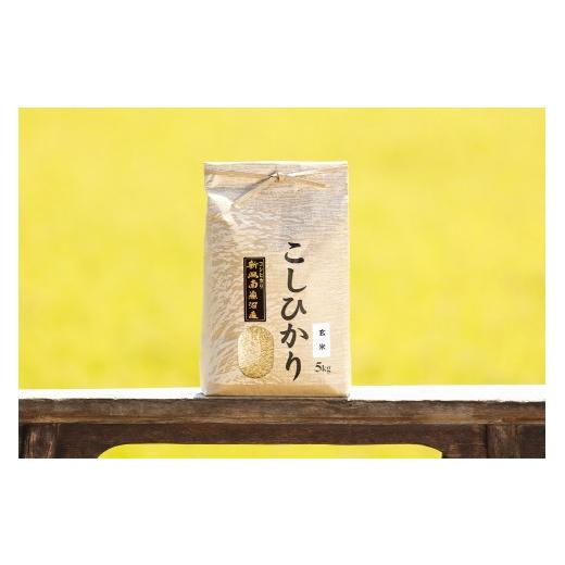 ふるさと納税 米 コシヒカリ 新潟県 南魚沼市 令和8年産 新米予約 全12回定期便 南魚沼産コシヒカリ 玄米5kg×12回 新潟県の特A地区南魚沼市の美味しいお米 …