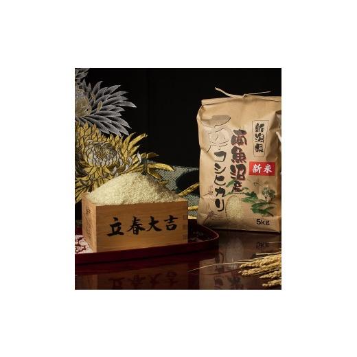 ふるさと納税 米 コシヒカリ 新潟県 南魚沼市 令和8年産 新米予約 全6回定期便 南魚沼塩沢産コシヒカリ 玄米5kg×6回 新潟県の特A地区南魚沼市の美味しいお米…