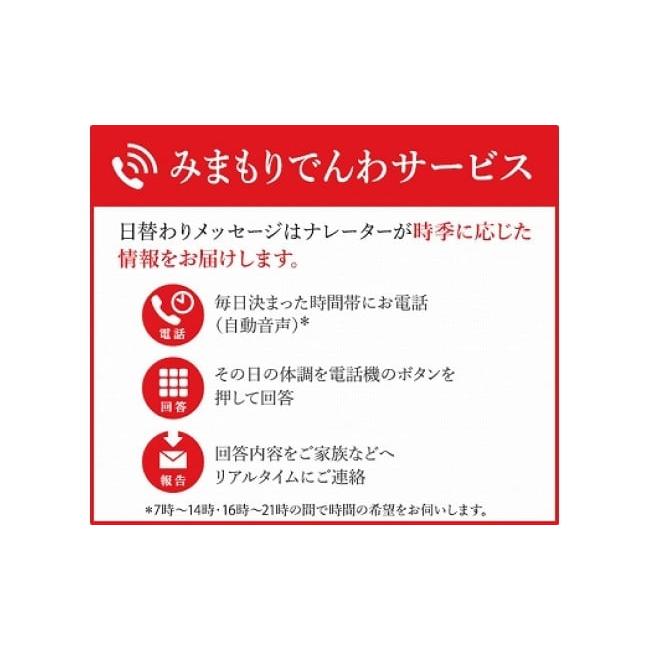 ふるさと納税 滋賀県 守山市 みまもりでんわサービス【固定電話】（12か月間）｜furusatochoice｜04