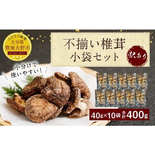 ふるさと納税 乾物 干ししいたけ 大分県 豊後大野市 015-960x2 不揃い 椎茸 10袋セット 乾燥 乾燥しいたけ 2025年4月上旬以降順次発送