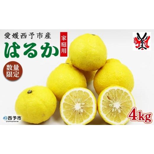 ふるさと納税 みかん・柑橘類 愛媛県 西予市 愛媛西予市産 はるか 家庭用 約4kg 柑橘 果物 フルーツ ミカン みかん オレンジ 特産品 渡江から一歩を踏み出す…