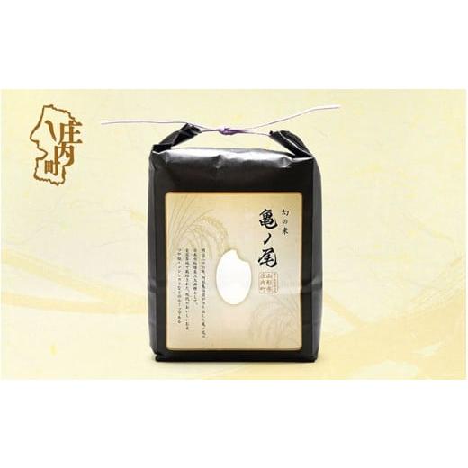 ふるさと納税 米 山形県 庄内町 庄内産 亀ノ尾 2kg×1袋 令和7年産 2025年産 コシヒカリの原点、亀の尾発祥の地 庄内