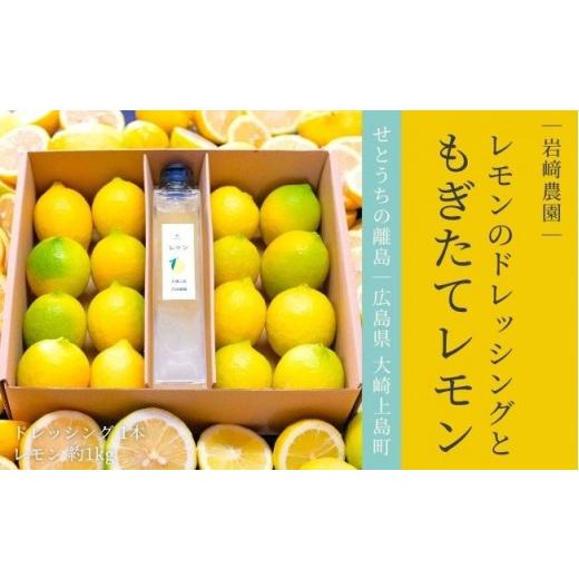 ふるさと納税 調味料・油 ドレッシング 広島県 大崎上島町 先行予約 贈り物に 皮ごと食べられる レモンドレッシング & 生果レモン約1kg ギフトセット 1月〜2…
