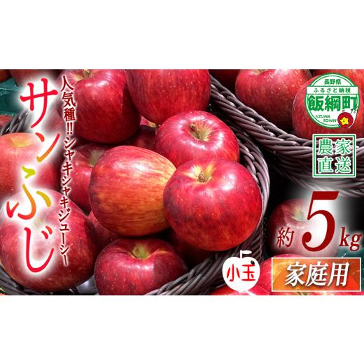 ふるさと納税 りんご 長野県 飯綱町 うれしい小玉サイズ りんご サンふじ ( 小玉 ) 家庭用 5kg ファームたんぽぽ 沖縄県への配送不可 2026年12月上旬頃から20…