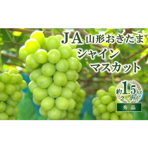 ふるさと納税 ぶどう マスカット 山形県 南陽市 令和8年産先行予約 JA シャインマスカット 約1.5kg (2〜4房 秀) [令和8年9月下旬〜発送] 『JA山形おきたま…