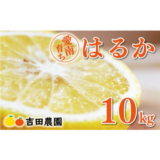 ふるさと納税 みかん・柑橘類 愛媛県 愛南町 数量限定 先行予約 はるか 10kg 18000円 みかん mikan 蜜柑 ミカン 国産 産地直送 農家直送 期間限定 特産品 ゼリ…