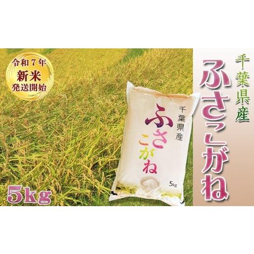 ふるさと納税 米 千葉県 鴨川市 [令和7年産 新米] 米屋新蔵 お米ソムリエ特選 千葉県産『ふさこがね』5kg