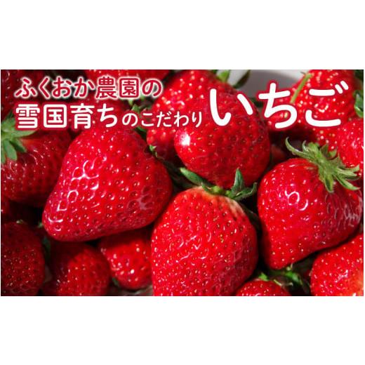 ふるさと納税 いちご 福井県 鯖江市 ふくおか農園の「雪国育ちのこだわりいちご」厳選おまかせ2種×2パックずつ(合計4パック) 20個限定 2026年3月15日まで受…