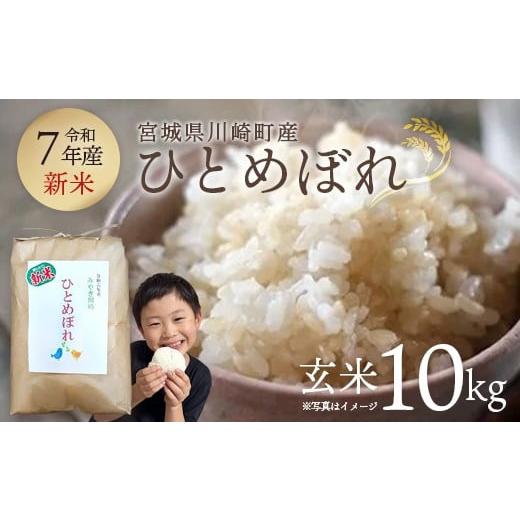 ふるさと納税 玄米 宮城県 川崎町 令和7年産 みやぎ川崎産 ひとめぼれ 10kg(玄米)