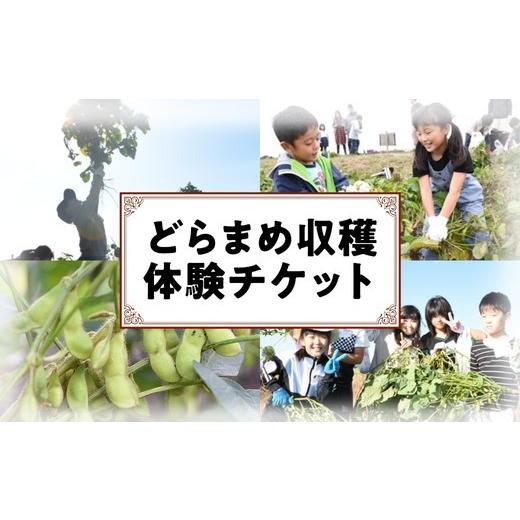 ふるさと納税 体験チケット 千葉県 栄町 どらまめ収穫体験チケット(一区画、20メートル分)(新米)栄町産特別栽培米コシヒカリ5kg1袋付き 40-39 2026年10月…