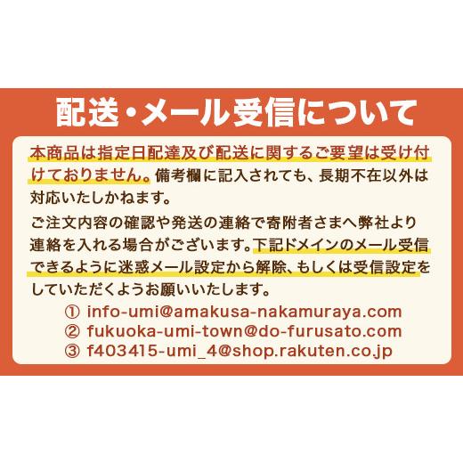 ふるさと納税 福岡県 宇美町 博多一双ラーメン4食入り　3個セット（約1.7kg） ／ らーめん 豚骨 とんこつ 福岡県　CY002｜furusatochoice｜06