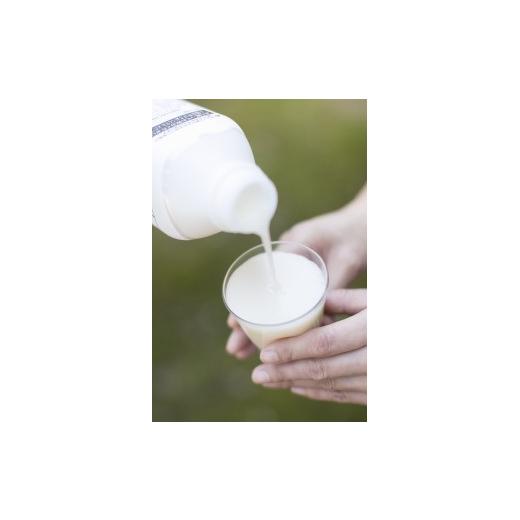 ふるさと納税 新潟県 南魚沼市 八海山　乳酸発酵のあまさけGABA118g×40本 