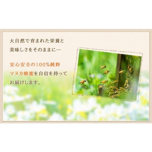 ふるさと納税 加工品等 はちみつ 福岡県 八女市 かの蜂 マヌカハニー 450g（90g×5袋）エコパック マヌカ はちみつ 蜂蜜 100％純粋 パック 手軽 持ち運び 保存…_5
