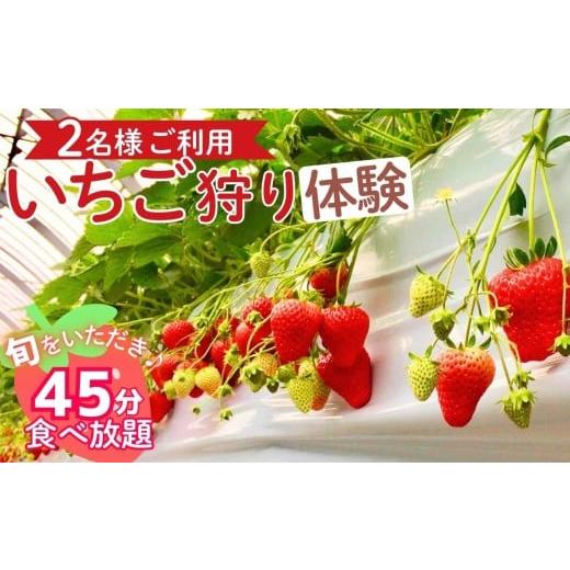 ふるさと納税 体験チケット 三重県 四日市市 四日市で旬の味を体験 「いちご狩り」ペアご利用(申込期日 令和8年3月31日まで) 45分間食べ放題 愛成ベリー │…