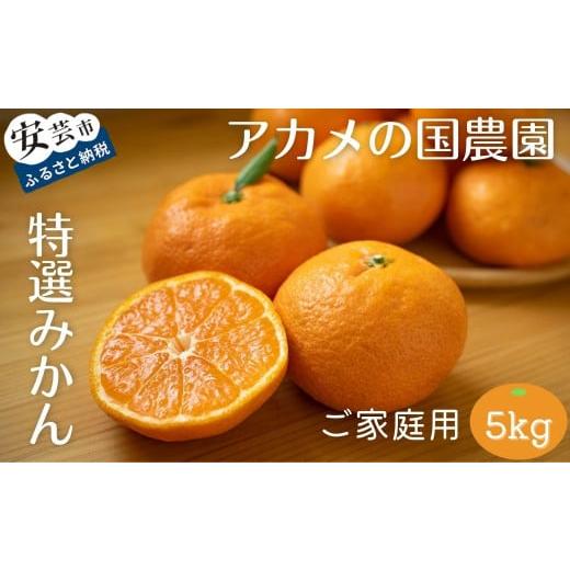 ふるさと納税 果物類 みかん 高知県 安芸市 2025年12月上旬〜発送 訳あり アカメの国農園特選みかん 5kg / みかん ミカン 柑橘 フルーツ 果物 ワケあり 訳あ…
