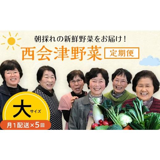 ふるさと納税 セット・詰合せ 福島県 西会津町 西会津野菜セット定期便（大）5回 F4D-1401_1