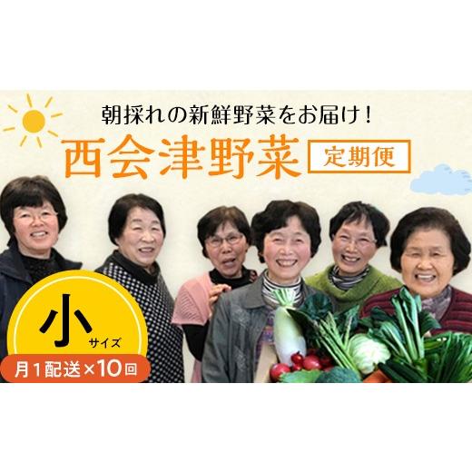 ふるさと納税 セット・詰合せ 福島県 西会津町 西会津野菜セット定期便（小）10回 F4D-1406_1