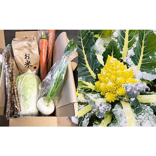 ふるさと納税 セット・詰合せ 福島県 西会津町 西会津野菜セット定期便（小）10回 F4D-1406_2