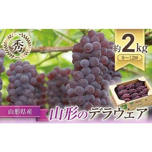ふるさと納税 果物類 ぶどう 山形県 南陽市 令和8年産先行予約 JA デラウェア 約2kg (9〜12房 秀) [令和8年7月下旬〜8月下旬発送] 『JA山形おきたま』 葡…