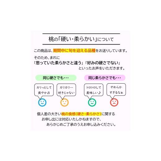 ふるさと納税 もも 山形県 南陽市  令和8年産先行予約 JA もも 「川中島・ゆうぞら・美月 等」 約3kg (8〜11玉) 化粧箱入り 《令和8年8月下旬〜9月下旬発送》 …の画像