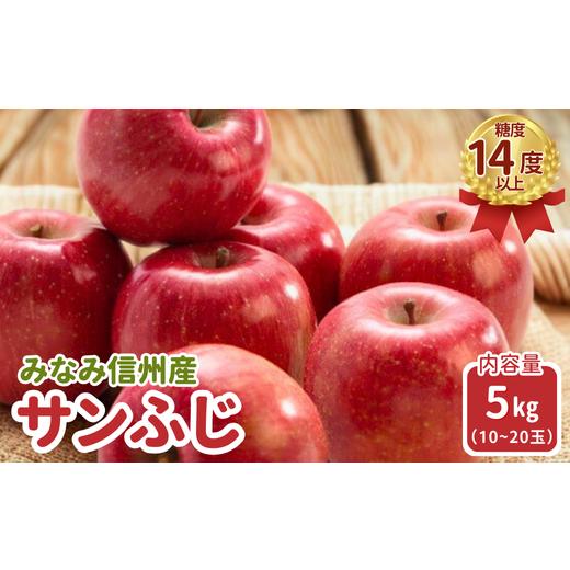 ふるさと納税 りんご 長野県 松川町 JA15-25A りんご サンふじ 約5kg / 2025年11月下旬〜12月上旬ごろ配送予定 // 長野県 南信州 贈答 ギフト お歳暮 ふじ …