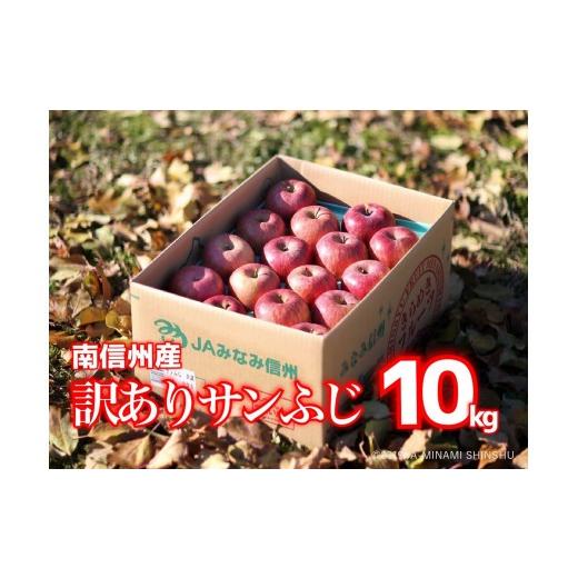 ふるさと納税 りんご 長野県 松川町 JA17 りんご サンふじ 訳あり 約10kg / 2026年11月下旬〜12月上旬ごろ配送予定 // 長野県 南信州 訳あり 自宅用 さんふ…