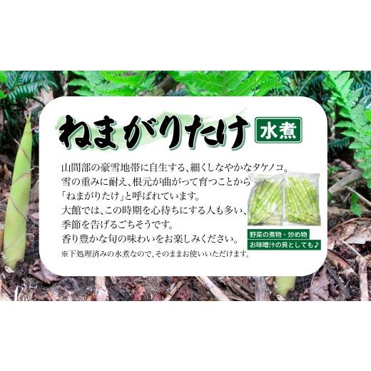 ふるさと納税 野菜類 山菜 秋田県 大館市 予約受付 天然山菜 ねまがりたけ水煮 60P3223 ／ 山菜 天然 山 自然 たけのこ タケノコ ねまがりたけ ねまがりだけ …の画像