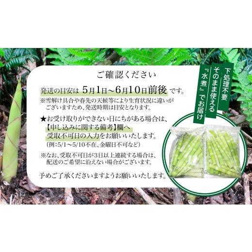 ふるさと納税 野菜類 山菜 秋田県 大館市 予約受付 天然山菜 ねまがりたけ水煮 60P3223 ／ 山菜 天然 山 自然 たけのこ タケノコ ねまがりたけ ねまがりだけ …の画像
