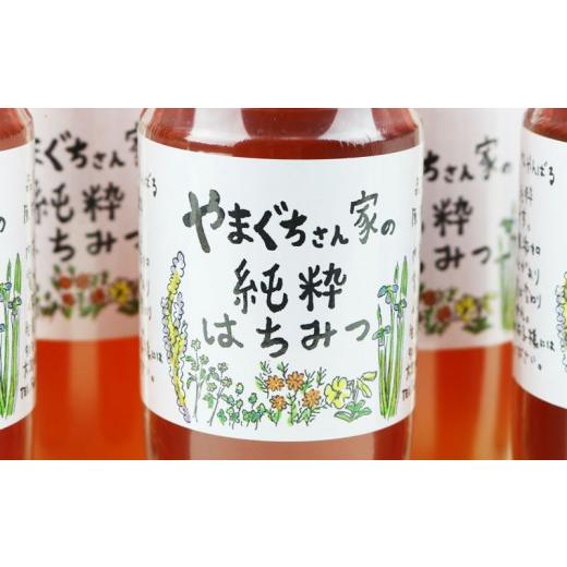 ふるさと納税 加工品等 はちみつ 沖縄県 大宜味村 やまぐちさん家の純粋はちみつ〈250g×10本セット〉の画像