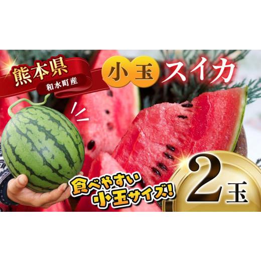 ふるさと納税 熊本県 和水町 小玉スイカ 熊本和水町産 スイカ 小玉 (2玉) [2024年4月中旬頃から順次出荷] | 熊本県 和水町 くまもと なごみまち すいか 西瓜…