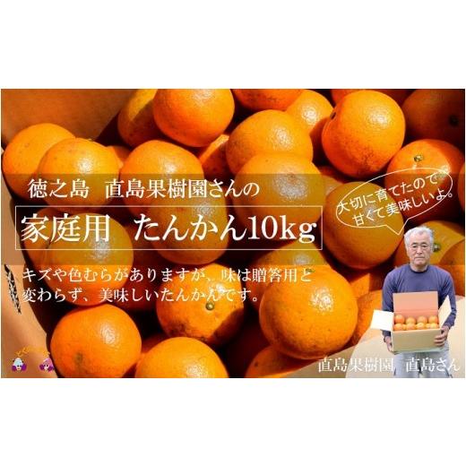 ふるさと納税 みかん・柑橘類 鹿児島県 徳之島町 839 家庭用 徳之島直島果樹園さんの家庭用たんかん10kg