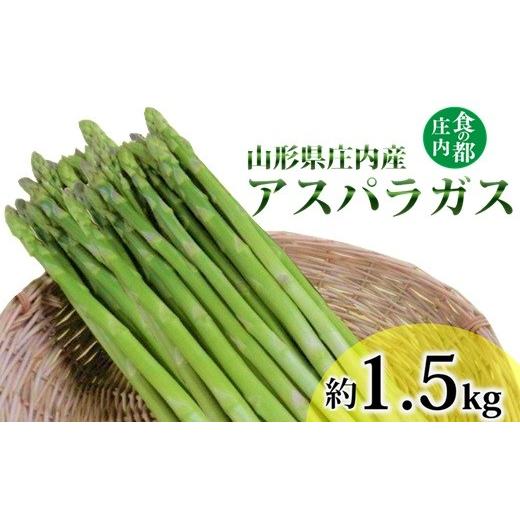 ふるさと納税 野菜類 アスパラガス 山形県 三川町 食の都庄内 庄内産アスパラガス 約1.5kg 6月中旬頃より順次発送予定