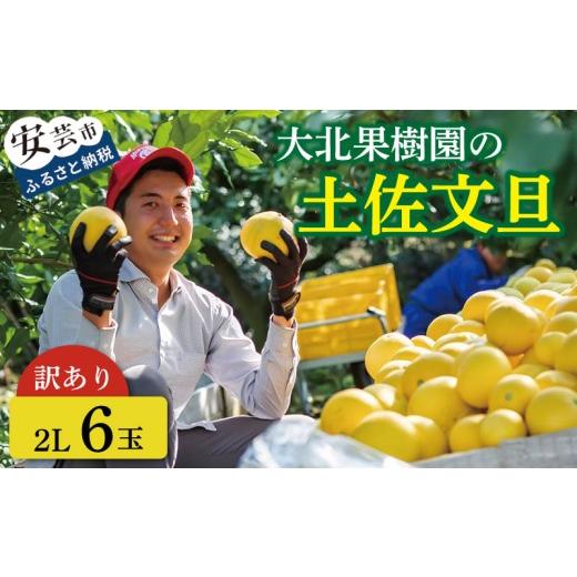 ふるさと納税 みかん・柑橘類 高知県 安芸市 先行予約 訳あり 文旦 家庭用 2L 6玉 土佐文旦 文旦訳あり 柑橘 フルーツ 文旦 数量限定 期間限定 みかん 蜜柑 ぶ…