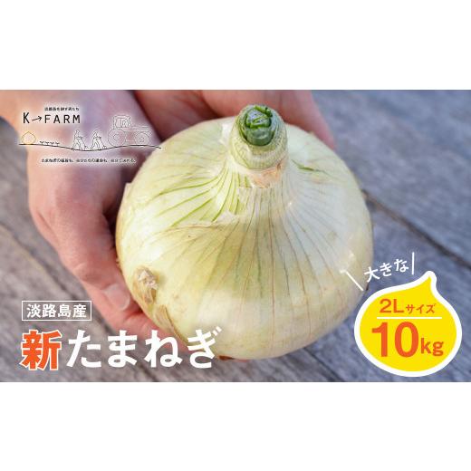 ふるさと納税 野菜類 玉ねぎ 兵庫県 淡路市  新たまねぎ 淡路島たまねぎ 大きな2Lサイズ10kg 発送時期：2026年3月下旬〜5月頃 10kgの画像
