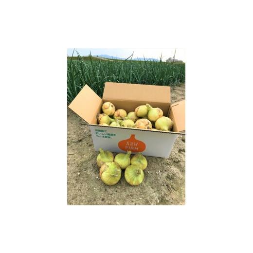 ふるさと納税 野菜類 玉ねぎ 兵庫県 南あわじ市  期間限定 島玉ねぎ（新玉ねぎ）10kg  発送3月〜の画像