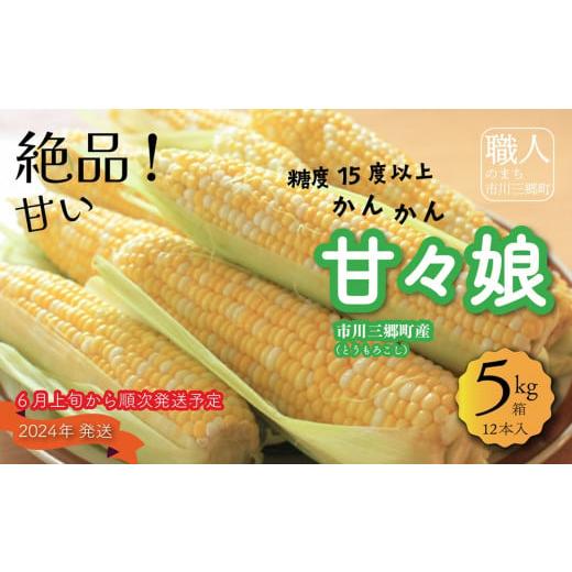 ふるさと納税 山梨県 市川三郷町 絶品!市川三郷町産甘々娘 2LA 12本入り 5kg箱 2024年6月上旬から発送 横田農園[5839-1335]