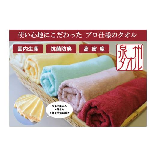 ふるさと納税 タオル・寝具 フェイスタオル 大阪府 阪南市 泉州タオル 無蛍光 抗菌 カラータオル 選べる1色 8枚入り 240匁 ( オフホワイト ) オフホワイト8枚