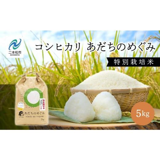 ふるさと納税 米 コシヒカリ 福島県 二本松市 令和7年産 コシヒカリ あだちのめぐみ 5kg コシヒカリ 米 白米 ふっくら 甘い 人気 ランキング おすすめ ギフト …