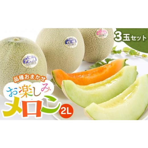 ふるさと納税 メロン メロン青肉 山形県 鶴岡市 令和8年産先行予約 お楽しみメロン 2Lサイズ 3玉セット(アンデスメロン・鶴姫メロン・鶴姫レッドメロン の…