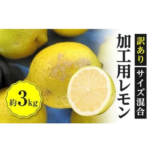 ふるさと納税 香川県 高松市 訳あり 加工用 レモン (サイズ混合) 3kg[2024年11月下旬〜2025年4月上旬配送]