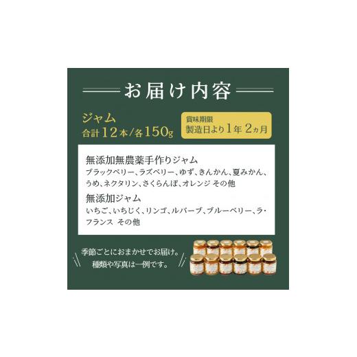 ふるさと納税 静岡県 焼津市 a20-272　無添加無農薬手作りジャム12本｜furusatochoice｜10