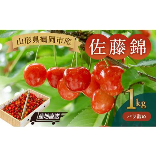 ふるさと納税 果物類 さくらんぼ 山形県 鶴岡市 令和8年産先行予約 山形県鶴岡産 さくらんぼ「佐藤錦」バラ詰め1kg JA庄内たがわ K-867