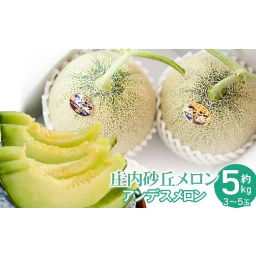ふるさと納税 メロン メロン青肉 山形県 鶴岡市 令和8年産先行予約 菅原農園の庄内砂丘メロン 約5kg (3〜5玉) アンデス メロン 7月下旬〜8月上旬 K-839 …