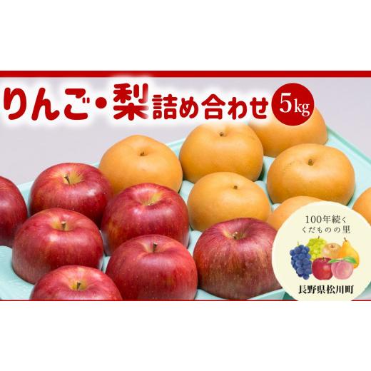 ふるさと納税 りんご 長野県 松川町 AS04 りんご・梨 詰め合わせ シナノスイート・南水(松川町産)秀品 約5kg /2026年10月上旬〜10月中旬頃 配送予定 // …