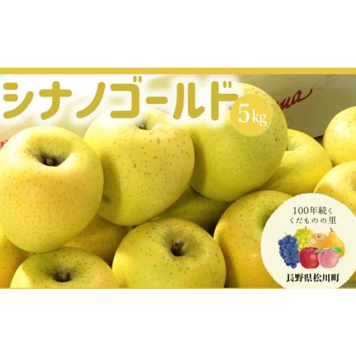 ふるさと納税 りんご 長野県 松川町 AS08-25A りんご シナノゴールド(松川町産)秀品 約5kg /2025年10月下旬〜11月中旬頃 配送予定 // 長野県 南信州 松川…