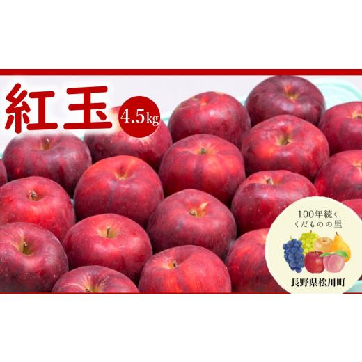 ふるさと納税 りんご 長野県 松川町 AS05 りんご 紅玉(松川町産)秀品 約4.5kg /2026年10月上旬〜10月下旬頃 配送予定 // 長野県 南信州 松川町 りんご リ…